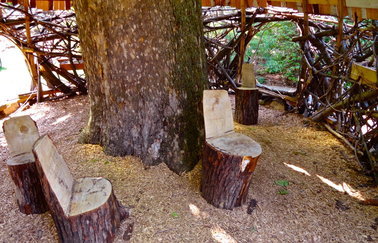 Tree stump chairs fill the